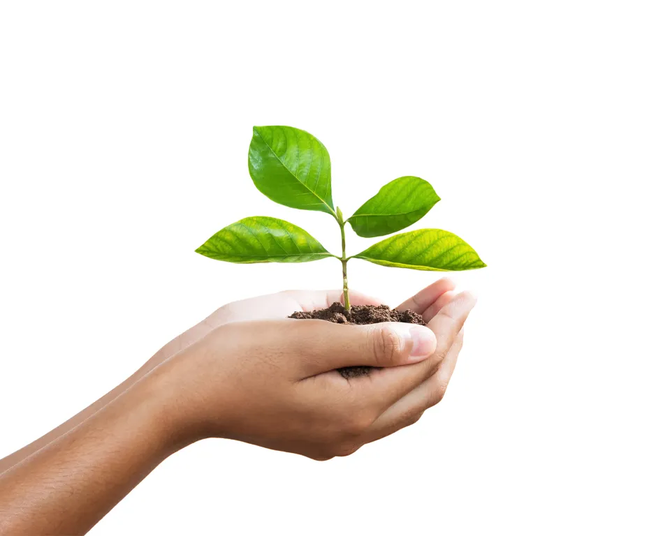  Kompost aus Bioabfällen ist besonders nährstoffreich!